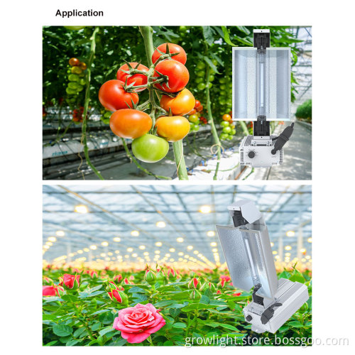 600 SE Complete Fixture 240V 600 Watt Lamp Volt Wireless Capable For Horticulture Supplemental Fixture